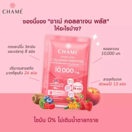 Chame Collagen ชาเม่ ไฮโดรไลซด์ คอลลาเจน ไตรเปปไทด์ พลัส 10000 มก. - Image 2